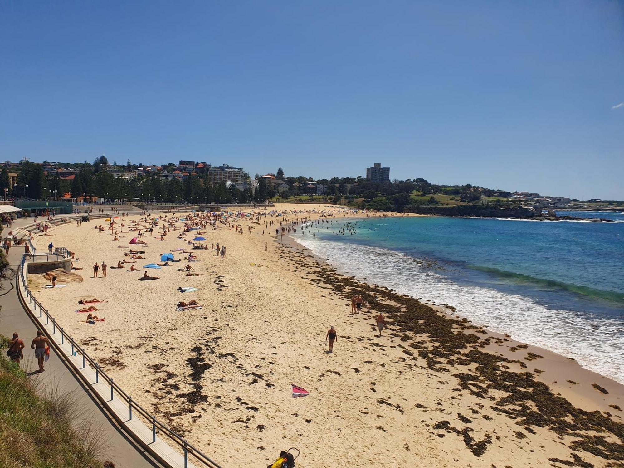 Podbed Coogee Beachside Sydney Exteriér fotografie